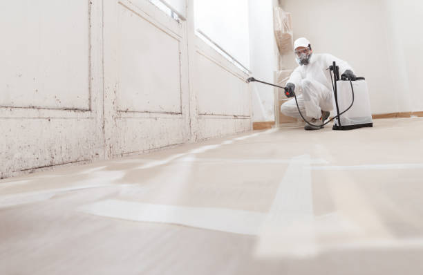 24/7 Emergency Commercial Mold Remediation experts in Petersburg, MI